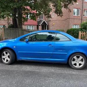 Peugeot 307cc Convertible - Image 2