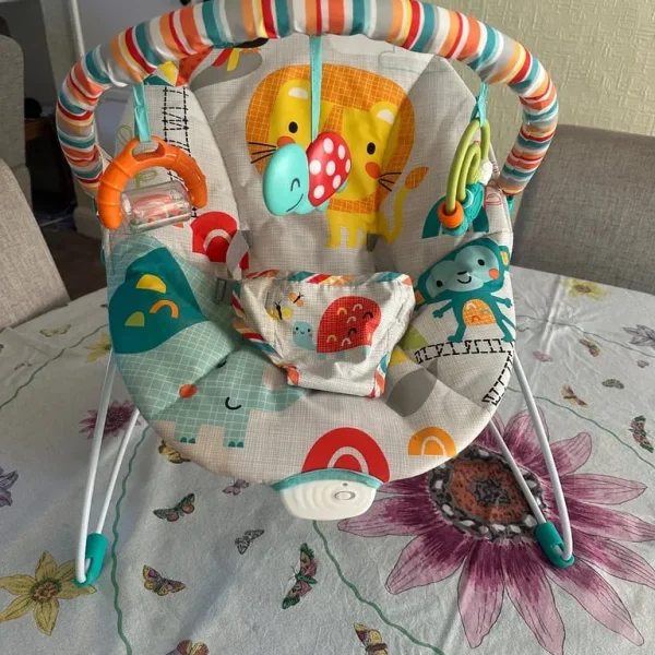 Baby bouncing chair