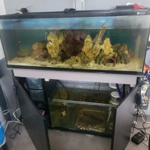 Salt water aquarium