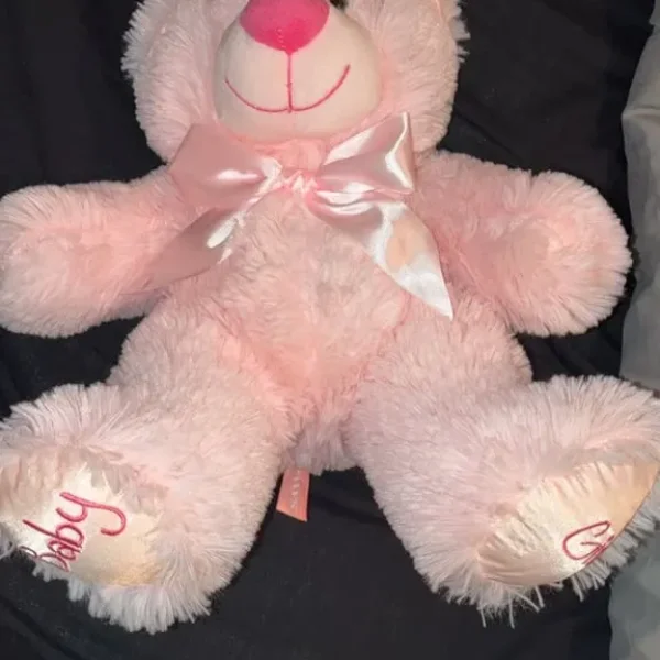 Pink teddy