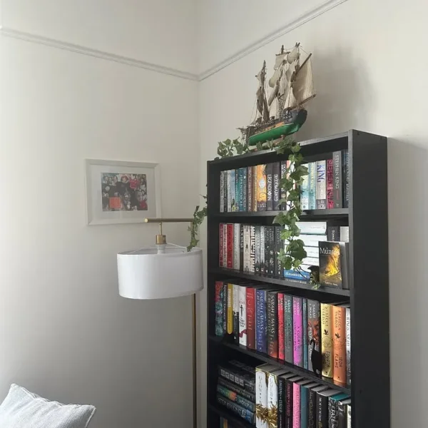 Black bookcase