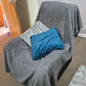 Reclining Sofa - Image 5