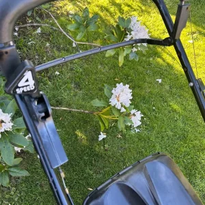 Mountfield Pro 21” alloy deck lawnmower 4-speed self-drive 196cc - Image 3