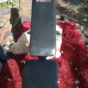 Bodymax adjustable weights bench - Image 2