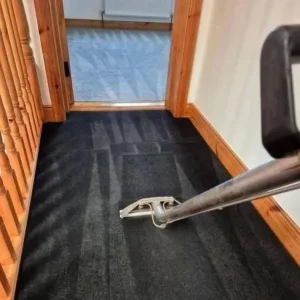 carpet cleaning