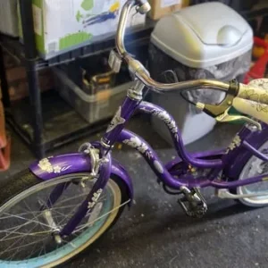 Electra Childs Bike