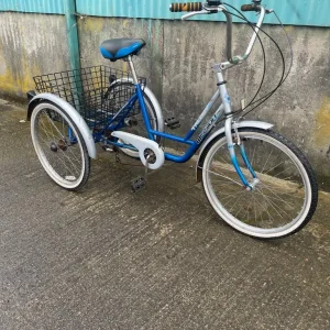 Adult tricycle - Image 4