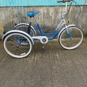 Adult tricycle