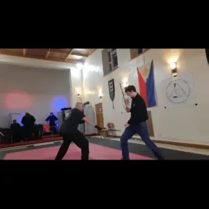 Training partner for boxing, Muay Thai, and self defence - Image 4