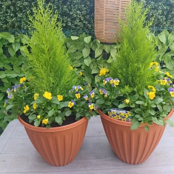 Large plastic planter with plants