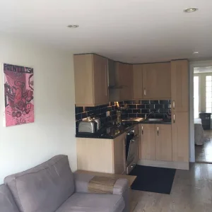One double bedroom flat with garden and parking - Image 3