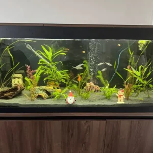 Fluval Roma 240l - Image 3