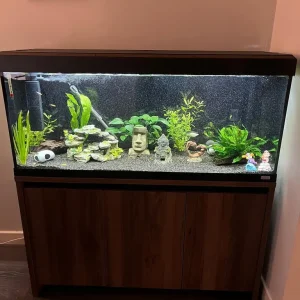 Fluval Roma 240l - Image 4