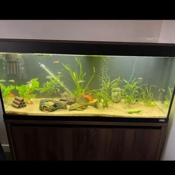 Fluval Roma 240l