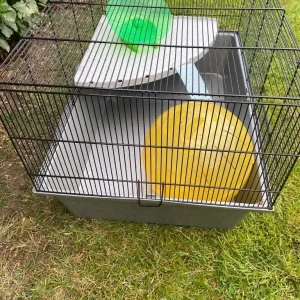 Hamster and gerbil cage with ball and exercise wheel - Image 2