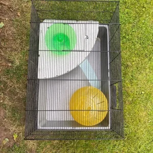 Hamster and gerbil cage with ball and exercise wheel - Image 3