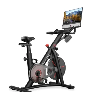 New Exercise Bike with Display Screen – Great for Home Workouts