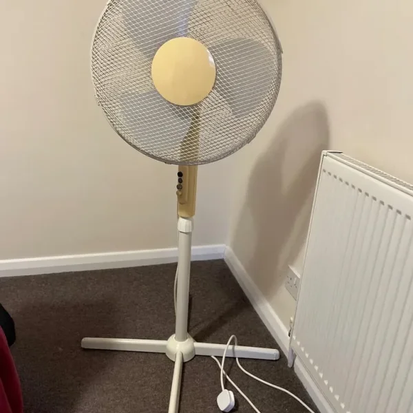 Standing Fan