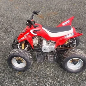 90CC Falcon Quad - Image 3