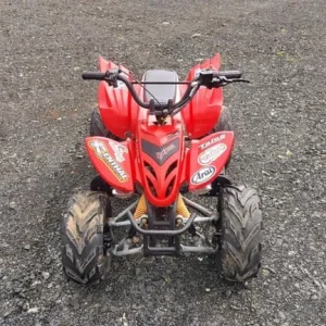 90CC Falcon Quad - Image 4