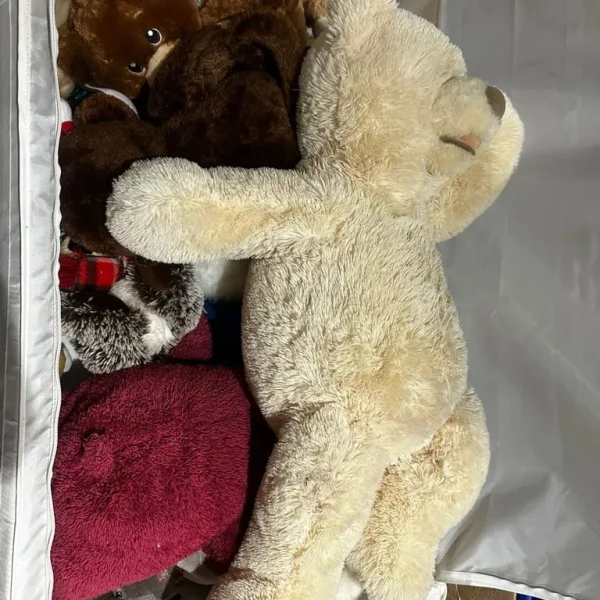 soft toys bundle