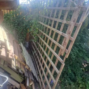 Free Wood, Pallets & Brick - Image 3