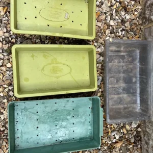 Seed trays