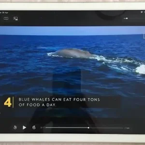 Apple iPad Air in Great Condition - Image 6