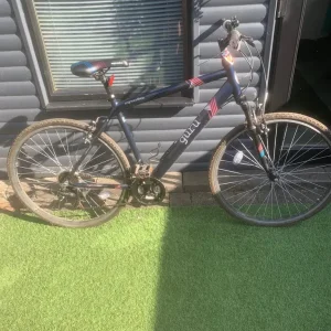Adult hybrid bike
