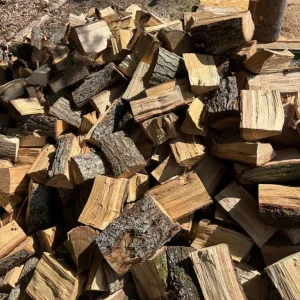 Oak Logs - Image 2