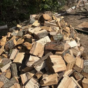 Oak Logs - Image 4