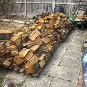 Oak Logs - Image 5