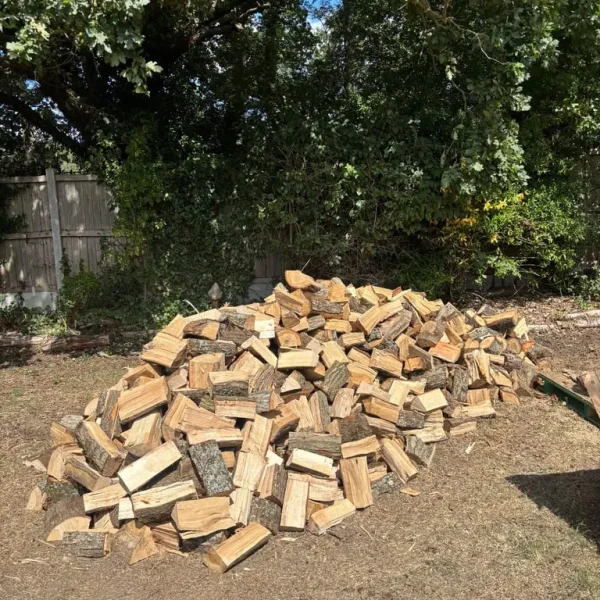 Oak Logs