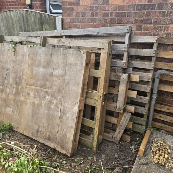 Free pallets need gone ASAP