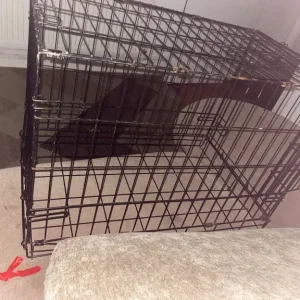 Dog crate smallish one - Image 4