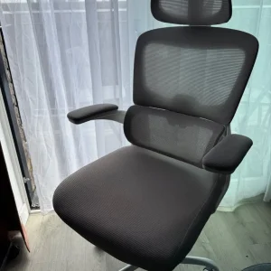 Ergonomic Mesh Office Chair with Headrest