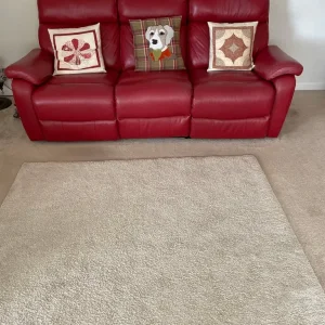 Leather Suite
