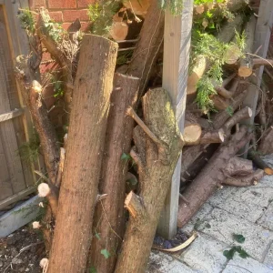 Free firewood logs