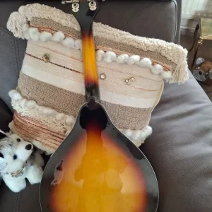 Irin 8-string Mandolin - Image 2