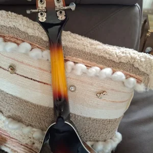 Irin 8-string Mandolin - Image 3