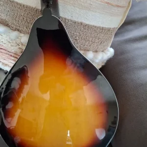 Irin 8-string Mandolin - Image 4