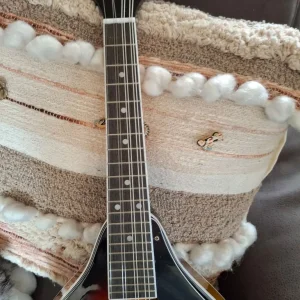 Irin 8-string Mandolin - Image 7