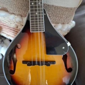 Irin 8-string Mandolin - Image 8