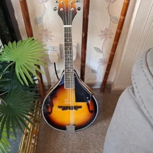 Irin 8-string Mandolin