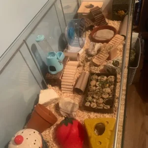 Ikea Detolf hamster cage and full setup 🐹 - Image 4