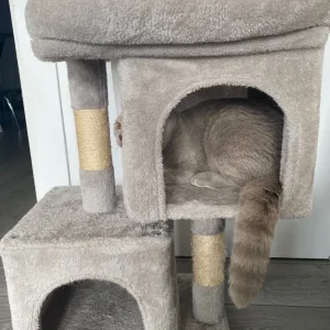 grey cat tower - Image 2
