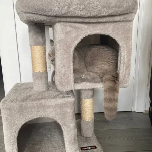 grey cat tower - Image 3