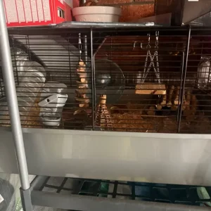Hamster cage with toys, tubes and accessories