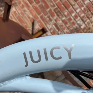 Juicy Classic City Electric Bike – Dutch style step-over - Image 2