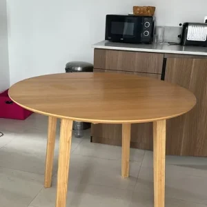 Wayfair Tenaya dining table - Image 2